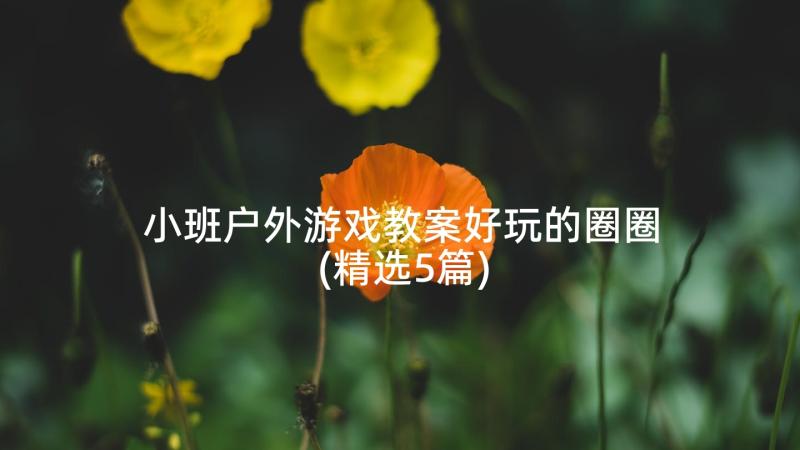 小班户外游戏教案好玩的圈圈(精选5篇)