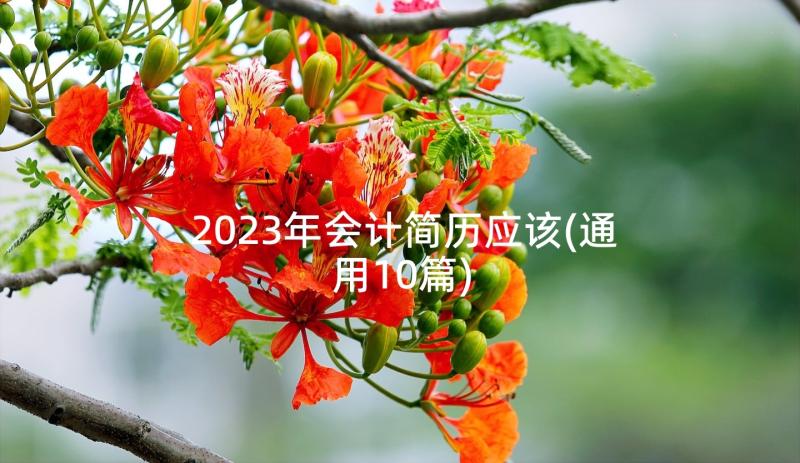 2023年会计简历应该(通用10篇)