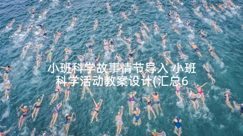 小班科学故事情节导入 小班科学活动教案设计(汇总6篇)