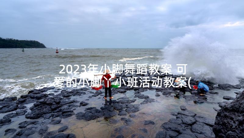 2023年小脚舞蹈教案 可爱的小脚丫小班活动教案(大全6篇)