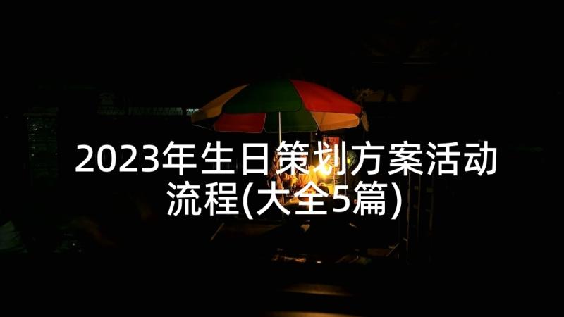 2023年生日策划方案活动流程(大全5篇)