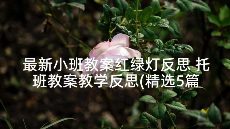 最新小班教案红绿灯反思 托班教案教学反思(精选5篇)