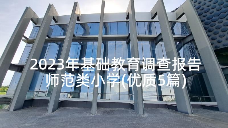 2023年基础教育调查报告师范类小学(优质5篇)