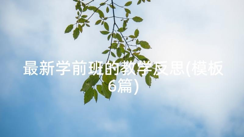 最新学前班的教学反思(模板6篇)