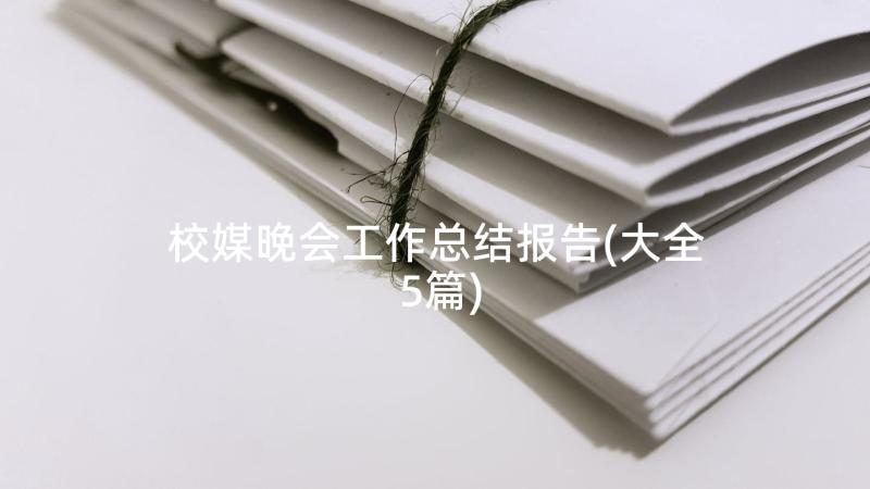 校媒晚会工作总结报告(大全5篇)