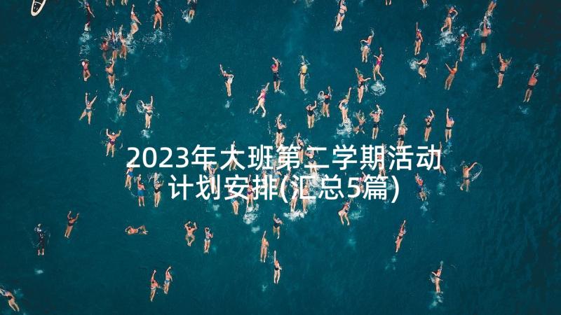 2023年大班第二学期活动计划安排(汇总5篇)