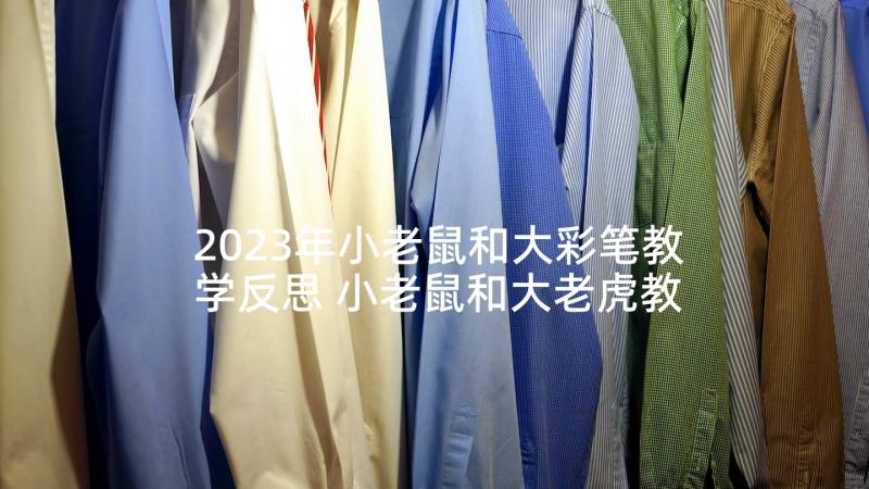 2023年小老鼠和大彩笔教学反思 小老鼠和大老虎教学反思(优秀6篇)