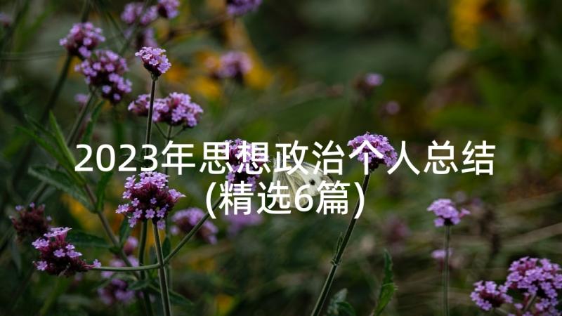 2023年思想政治个人总结(精选6篇)