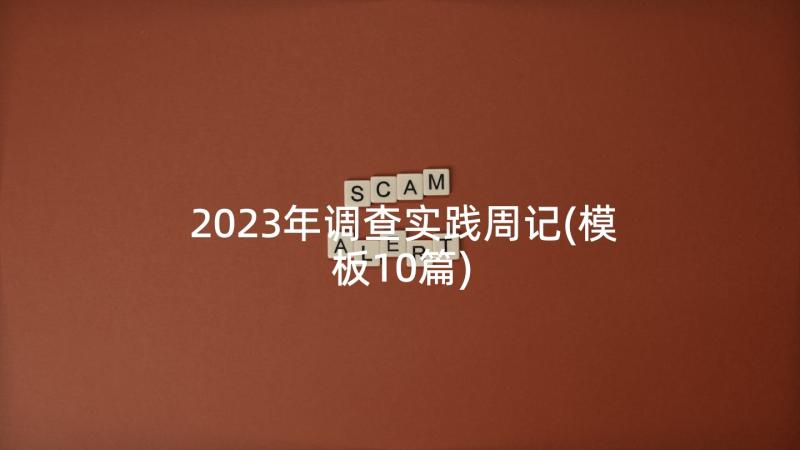 2023年调查实践周记(模板10篇)