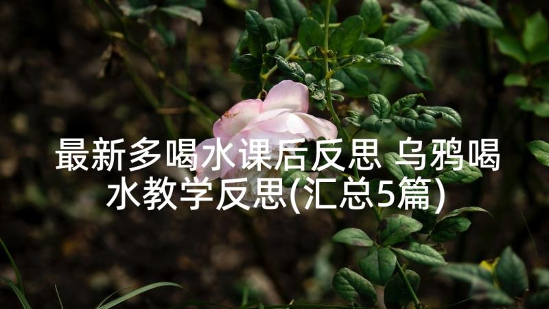 最新多喝水课后反思 乌鸦喝水教学反思(汇总5篇)