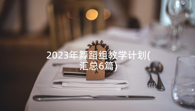 2023年舞蹈组教学计划(汇总6篇)