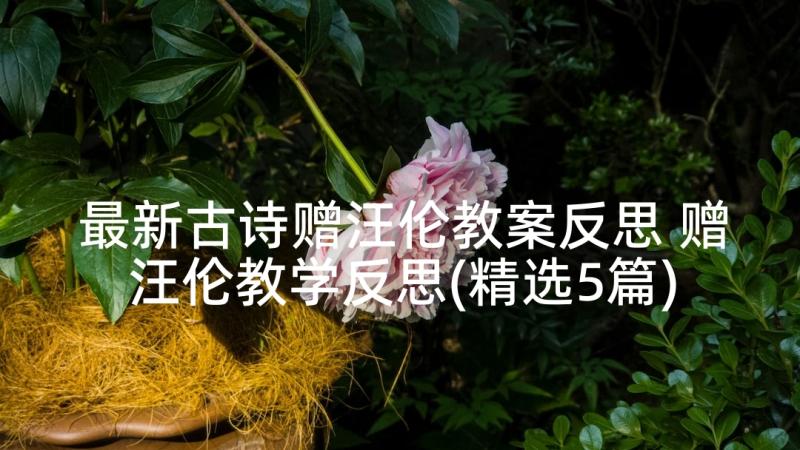 最新古诗赠汪伦教案反思 赠汪伦教学反思(精选5篇)