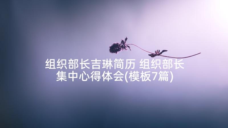 组织部长吉琳简历 组织部长集中心得体会(模板7篇)