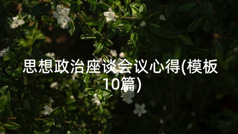 思想政治座谈会议心得(模板10篇)