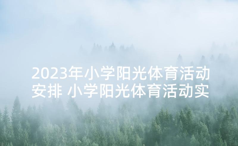 2023年小学阳光体育活动安排 小学阳光体育活动实施方案(优秀8篇)