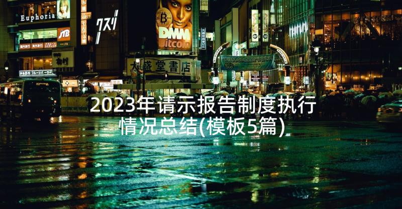 2023年请示报告制度执行情况总结(模板5篇)