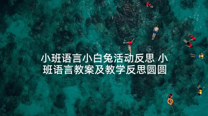 小班语言小白兔活动反思 小班语言教案及教学反思圆圆圆(实用6篇)