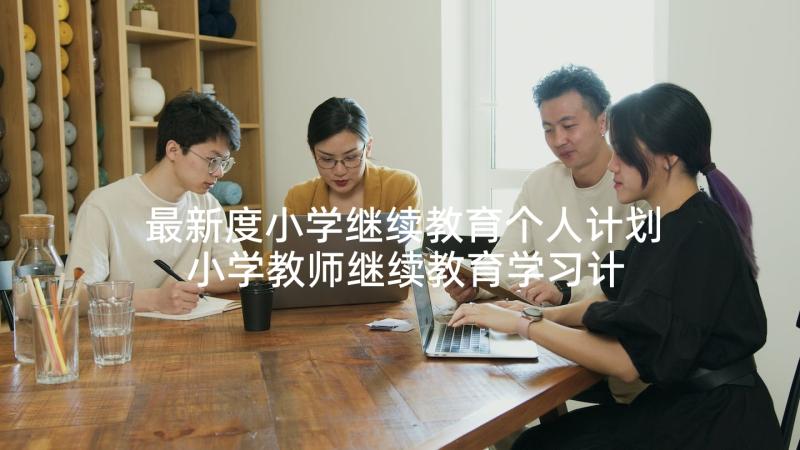 最新度小学继续教育个人计划 小学教师继续教育学习计划(优质5篇)