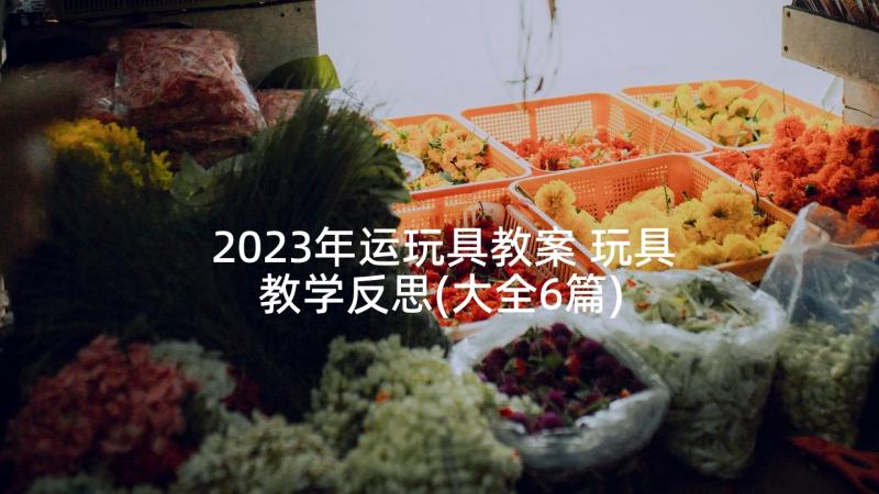 2023年运玩具教案 玩具教学反思(大全6篇)