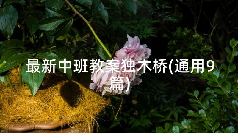 最新中班教案独木桥(通用9篇)