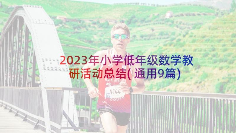 2023年小学低年级数学教研活动总结(通用9篇)