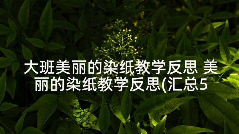 大班美丽的染纸教学反思 美丽的染纸教学反思(汇总5篇)