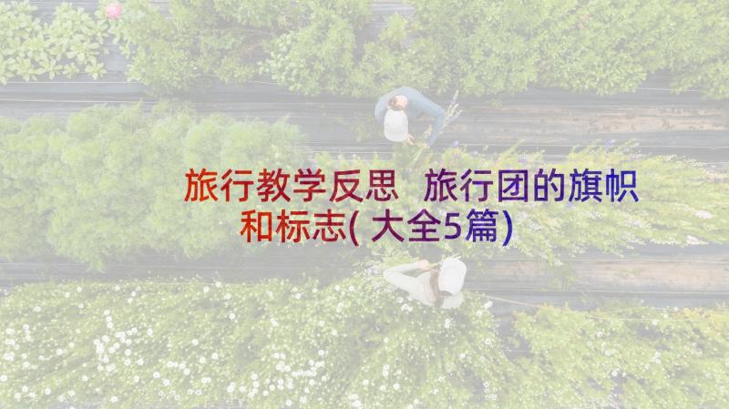 旅行教学反思 旅行团的旗帜和标志(大全5篇)