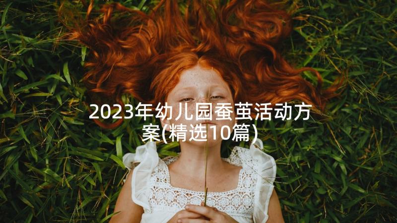 2023年幼儿园蚕茧活动方案(精选10篇)