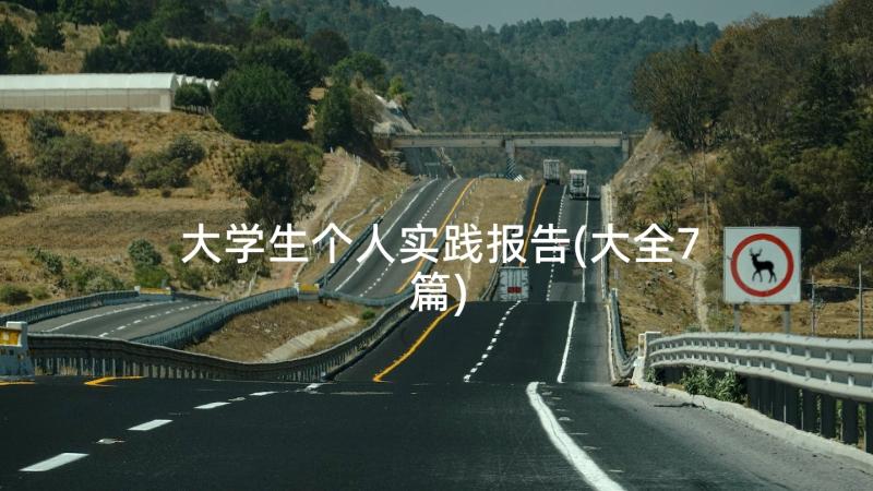 大学生个人实践报告(大全7篇)