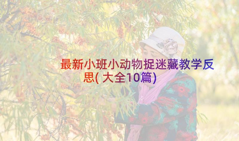 最新小班小动物捉迷藏教学反思(大全10篇)