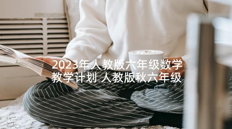 2023年人教版六年级数学教学计划 人教版秋六年级数学教学计划(模板5篇)