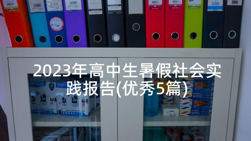 2023年高中生暑假社会实践报告(优秀5篇)