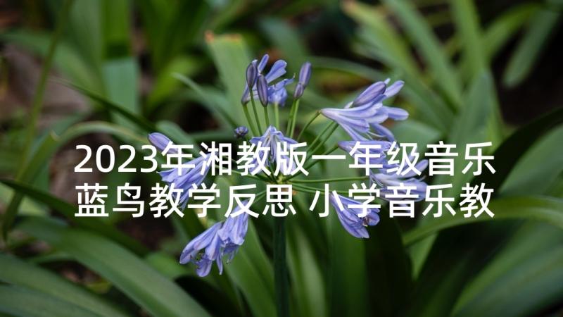 2023年湘教版一年级音乐蓝鸟教学反思 小学音乐教学反思(汇总7篇)