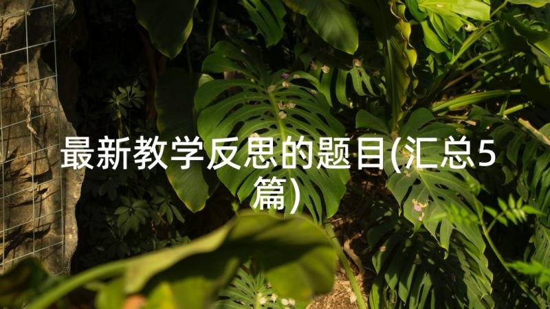 最新教学反思的题目(汇总5篇)