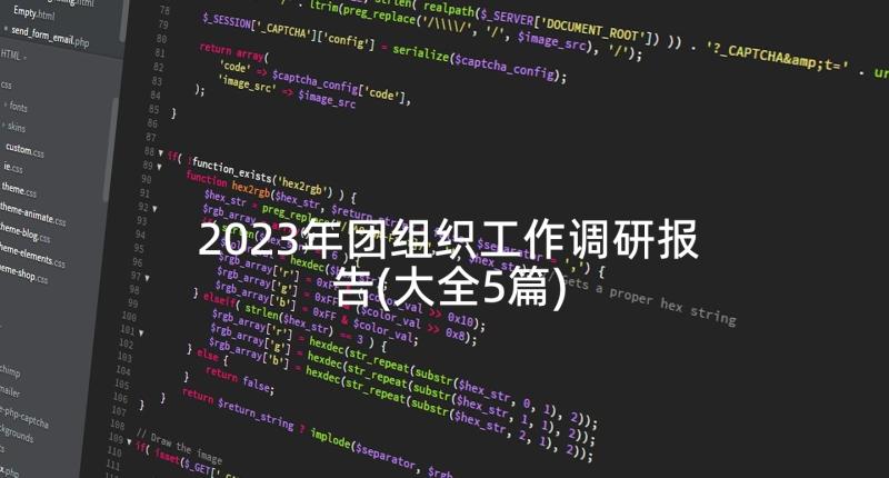 2023年团组织工作调研报告(大全5篇)