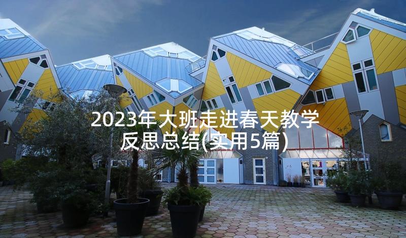 2023年大班走进春天教学反思总结(实用5篇)