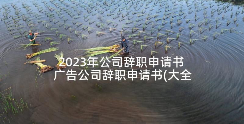 2023年公司辞职申请书 广告公司辞职申请书(大全10篇)