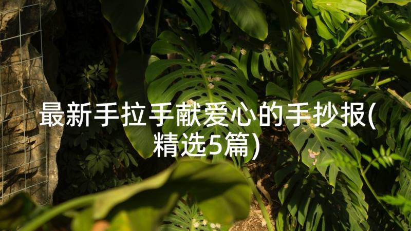 最新手拉手献爱心的手抄报(精选5篇)