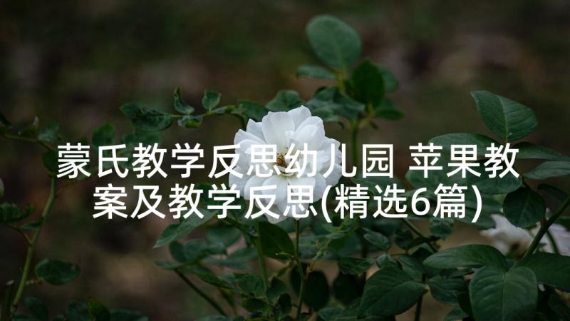 蒙氏教学反思幼儿园 苹果教案及教学反思(精选6篇)