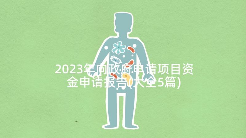 2023年向政府申请项目资金申请报告(大全5篇)