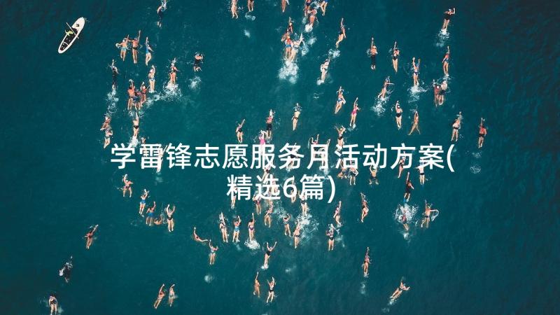 学雷锋志愿服务月活动方案(精选6篇)