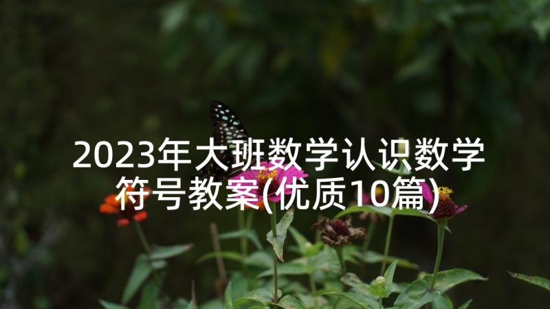 2023年大班数学认识数学符号教案(优质10篇)