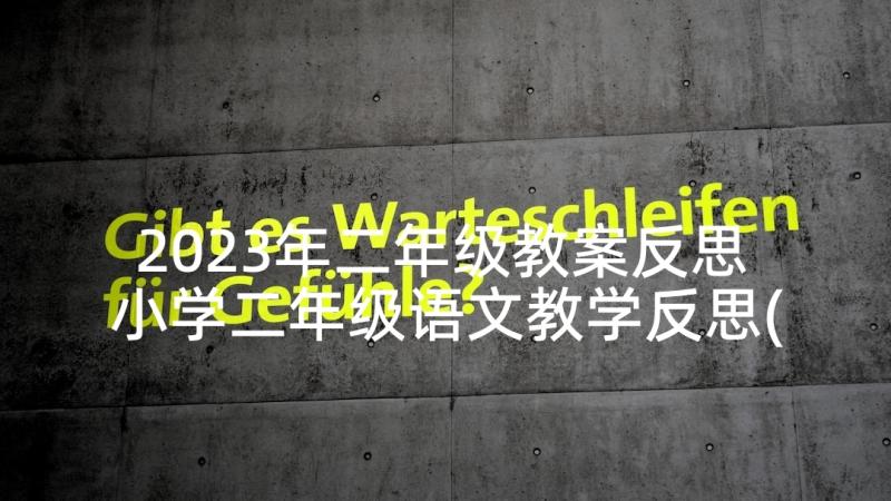 2023年二年级教案反思 小学二年级语文教学反思(模板9篇)