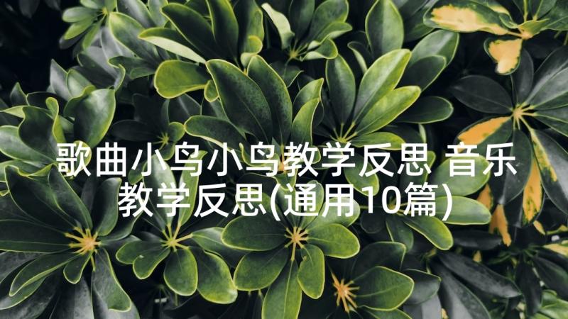 歌曲小鸟小鸟教学反思 音乐教学反思(通用10篇)