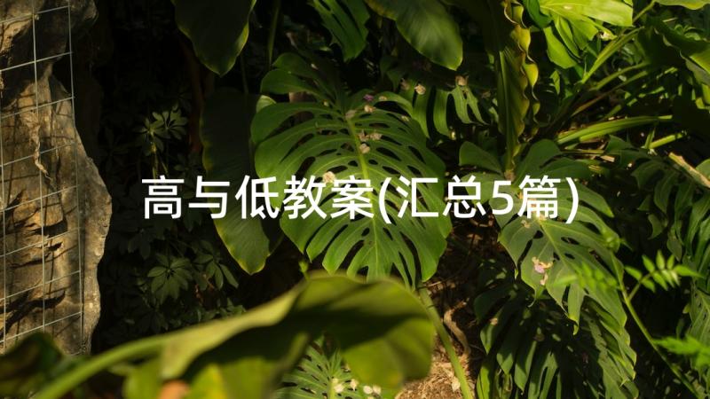 高与低教案(汇总5篇)