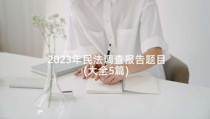 2023年民法调查报告题目(大全5篇)