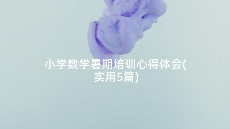 小学数学暑期培训心得体会(实用5篇)