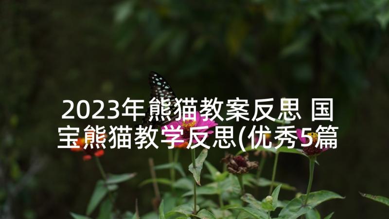 2023年熊猫教案反思 国宝熊猫教学反思(优秀5篇)