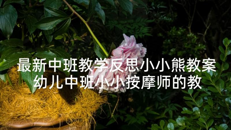 最新中班教学反思小小熊教案 幼儿中班小小按摩师的教学反思(汇总5篇)