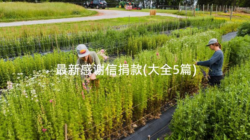 最新感谢信捐款(大全5篇)